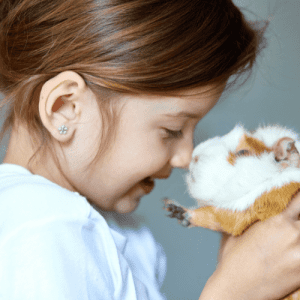 request a quote for pet sitting including guinea pigs